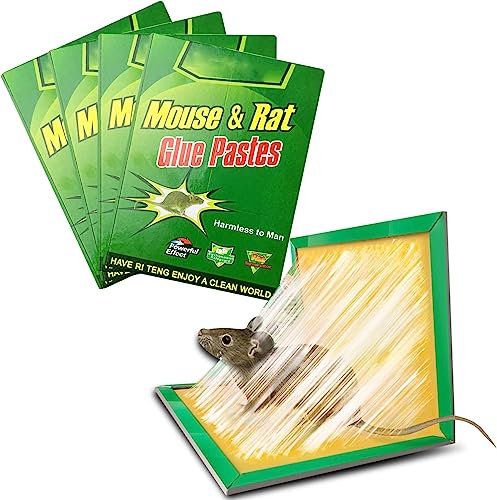 ALLBASA Piege a Souris, Piege a Rat,Colle Souris Piege Attrape Souris Anti Souris Plaques Collantes Souris, Plaques de glu Anti Souris Anti Rat (5pcs)