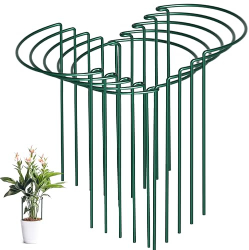 SORANGEUN 10 Pack Peony Cages and Supports, 10 (W) x 16(H) Plant Support, Heavy-Duty Metal Plant Support Stakes, Plant Stakes for Outdoor & Indoor Plants, Perfect for Flowers and Vegetable