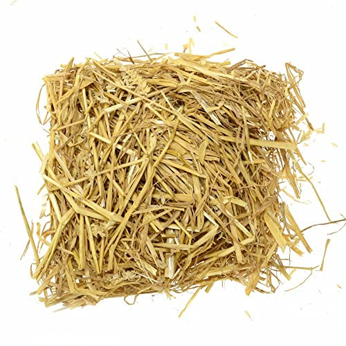Cassetta Paglia per Presepe 1 kg Macinata e sterilizzata, decorazione Balletta pagliuzza Grezza, Accessori paesaggio scenario per mestieri, pastori e statue presepio