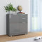 Generisch Sideboard 71x35x80 cm, Hochglanz Grau, aus Holzwerkstoff, mit 2 Schubladen und 2 Türen, Aufbewahrungsschrank für Wohnzimmer Flur Schlafzimmer, modernes Stauraummöbel