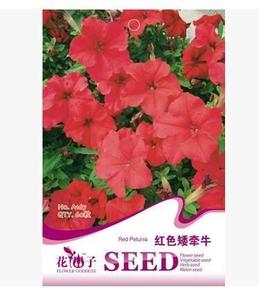 variedad de semillas de color petunia La fábrica de embalaje alrededor de 60 grano de un paquete de semillas rojas originales