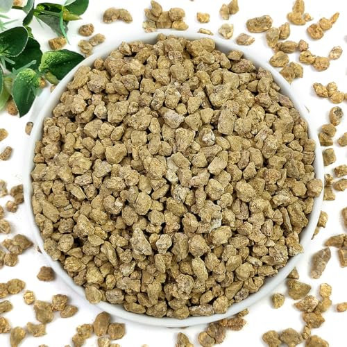 YISZM Succulent and Cactus Maifanitum Stones Garden Accessorie Rocks Pumice for Indoor Plants, Bonsai, Fairy Gardening, Vases Fillers, Terrarium, 2lb