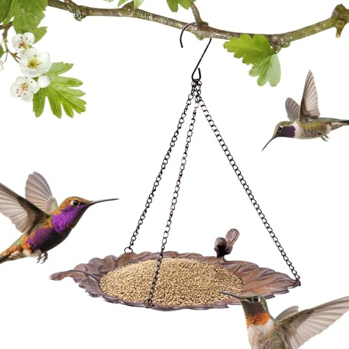 Plateau Mangeoire Oiseaux Plat | Plateau Mangeoire et Baignoire - Abreuvoir Colibris Oiseaux Sauvages avec Chaînes pour Jardin Terrasse Cour Extérieur