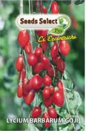 SEEDS SELECT PRO Semi di Goji in Bustina, Pianta da Frutto Lycium Barbarum