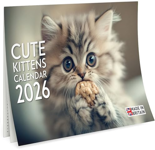 Cute Kittens Calendar 2026 – A4 Wall Calendar for Cat Lovers