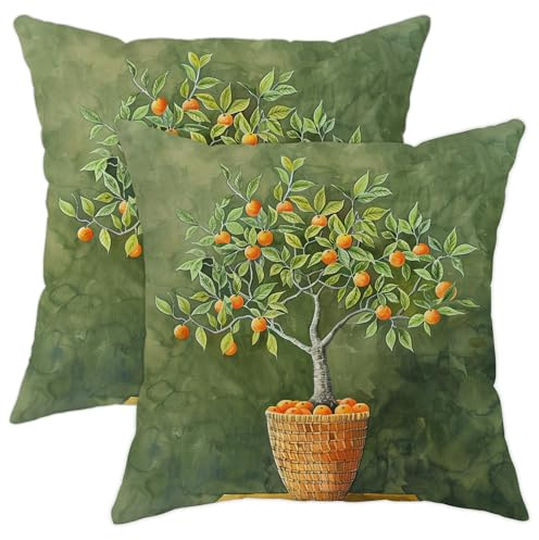 Orange Tree Cushion Covers Set of 2, Olive Green Fruit Plant Throw Pillows Case, Summer Outdoor Decorative Farmhouse Decor Pillow Covers for Home Sofa Couch 16x16 Inch