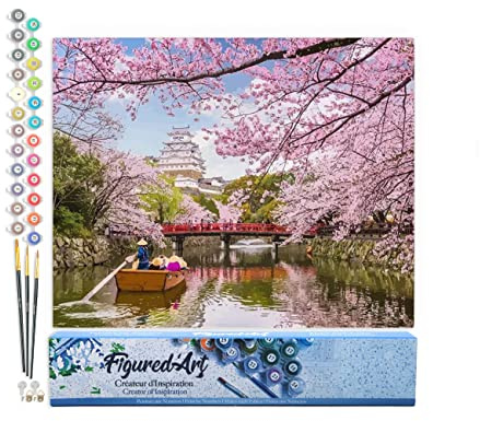 Figured'Art Pintar por Numeros Adultos Flores de cereza en Japón - Manualidades pintura acrilica Kit Cuadro DIY completo - 40x50cm sin bastidor