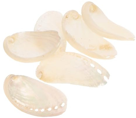 Hohopeti Lot De 6 Coquilles D'ormeau Naturelles Nacrées, 4-6 Cm, Décoration Mariage Plage, Accessoire Aquarium Et Aménagement Paysager, Ornement Artisanal pour Maison Et Bureau