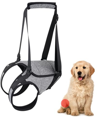 Senior Dog Lift Harness - Stödsbälte för husdjursmobilitet med handtag