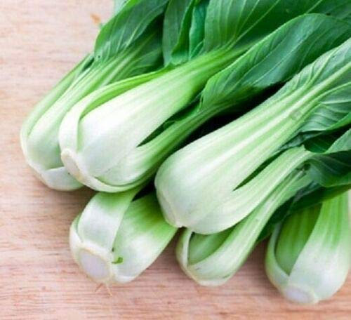 200 Seeds of Vegetable Pak Choi F1 Hanakan