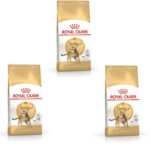 Royal Canin Bengal Adult | Pack de 3 | 3 x 400 g | Alimentation complète pour Chats | Spécialement pour Les Chats Bengals Adultes | À partir de 12 Mois | Nourriture sèche pour Chats Bengals