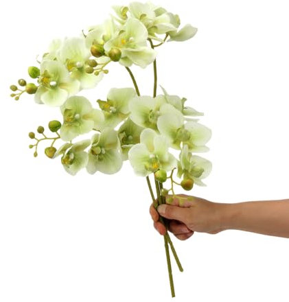 TONGMAN 18 Artificial Silk Phalaenopsis Flowers 2 Bundles Artificial Orchid Flowers Stem Plants in White Fake Butterfly Phalaenopsis Flowers for Home Wedding Party Décor (Green)