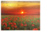 Nexos Trading LED Wandbild Leinwandbild mit Beleuchtung Fotodruck Mohnfeld 30 x 40 cm 1 LED warm weiß 30 Glasfaser Kunstdruck Leuchtbild Wiese Vintage-Stil Mohn Sonnenuntergang