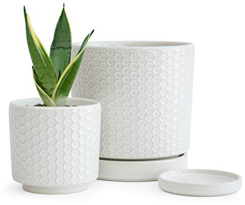D'vine Dev Set of 2 Modern Matte White Honeycomb Embossed Ceramic Planter Pots with Saucer and Drainage Hole, 4 Inch & 6 Inch, 99-C-1-N