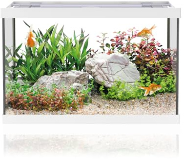 AQPET One Mini Acuario de Cristal Blanco 20 litros - Acuario Completo con Filtro Interno, Arena, Planta Decorativa y Fondo - Diseño Elegante 36x22x26 cm, Ideal para Principiantes
