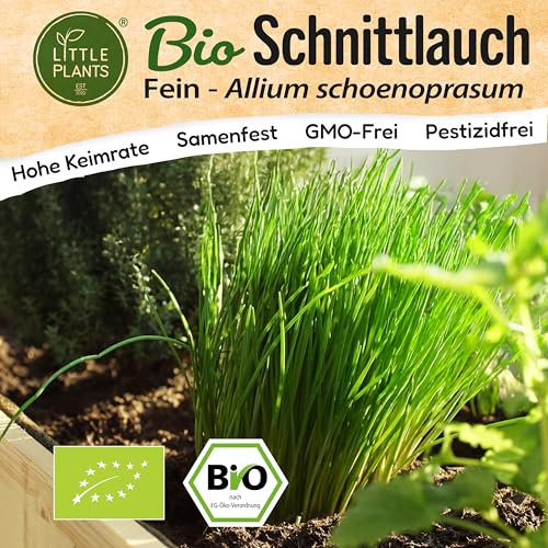 Little Plants BIO Schnittlauch Samen 500 Schnittlauchsamen Kräutersamen für Kräutergarten Hochbeet Samenfest Kräuter Samen für Küche, Balkon und Garten Küchenkräuter