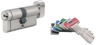 THIRARD T2 SURVEYOR, 30B x 30 mm | Finition nickel, 5 clés fournies, bouton intérieur, usage résidentiel, haute sécurité, installation facile, standard européen