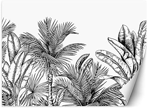 Feeby Papier Peint Intissé Exotisme Esquisse Tropiques 350x245 cm noir et blanc XXL Moderne Décoration Murale Tableaux Muraux Tapisserie Salon Chambre à coucher Des palmiers Les feuilles La jungle