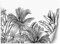 Feeby Papier Peint Intissé Exotisme Esquisse Tropiques 350x245 cm noir et blanc XXL Moderne Décoration Murale Tableaux Muraux Tapisserie Salon Chambre à coucher Des palmiers Les feuilles La jungle