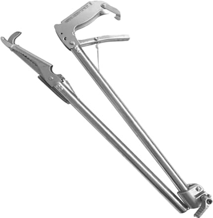 GARVALON Pinza per Anguille in Acciaio Inossidabile Antiscivolo Morsetto Robusto Multifunzione per Granchi e Aragoste Accessorio da Cucina per Campeggio Barbecue e Uso Domestico