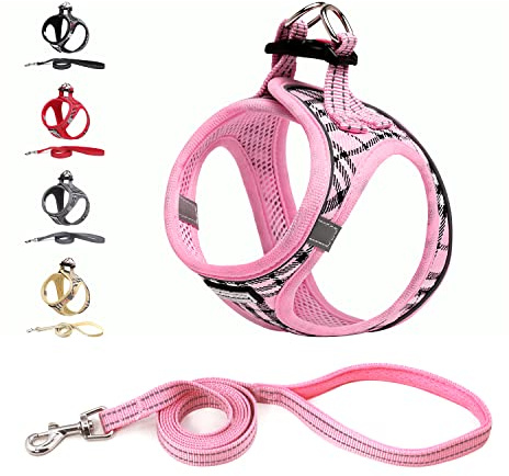 Suredoo Arnés para Perro Pequeños con Correa, Arnés Antitirones Reflectante Cómodo Transpirable Arneses Chaleco para Perros Pequeños Gatos, Cachorros (Rosa, XXS)