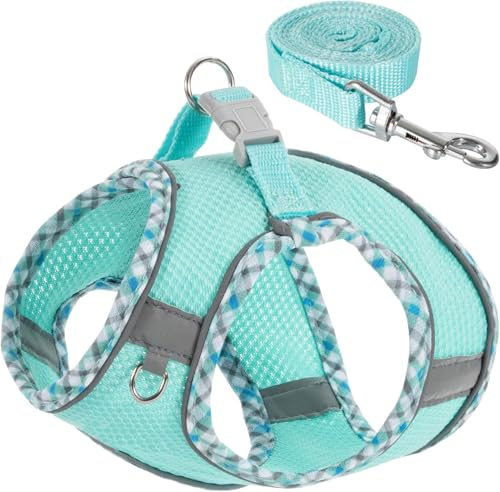 Dog Harness and Leash Set,Step-in Air Dog Vest, Reflective, No Pull Collarsfor Small, Medium Dogs, Cats - Secure with Hook & Loop Fastener, Buckle, Double D-Ring