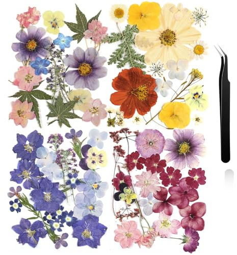 Nuanchu Dried Pressed Flowers for Crafts Resin Mother's Day Crafts Supplies Pressed Flowers Bulk Purple Dried Wildflowers Leave Natural with Tweezer DIY for Resin Mold Scrapbooking Nail Soap Making