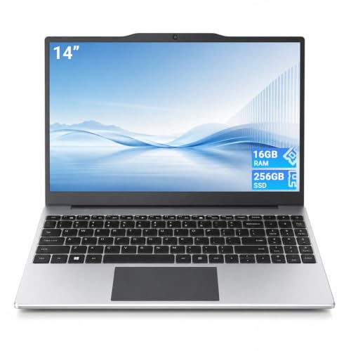 Breloom Portatil 14 Pulgadas, 16GB RAM 256GB SSD, Win 10 Pro Laptop, Procesador AMD A9 hasta 3.2GHz, Pantalla IPS, WiFi 5, Ordenador Portátil para Estudiantes, Oficina y Hogar