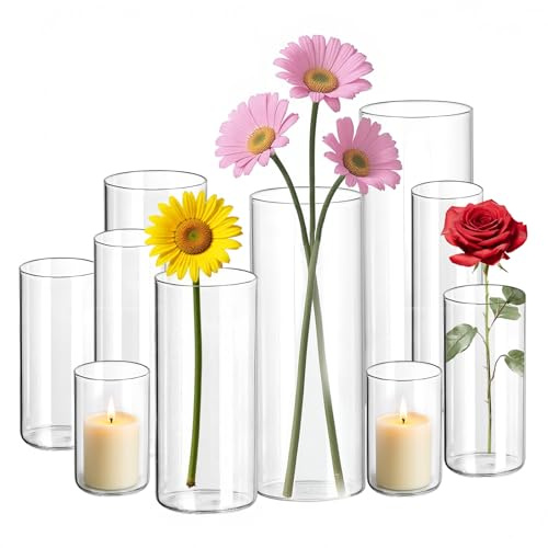 DOKKOME Vas glas 10 stycken glasvas-set, ljusglas, vaser för bordsdekoration, vas stor minivas, tulpanvas, glascylinder för ljus, hem, bröllop, bordstillbehör fest