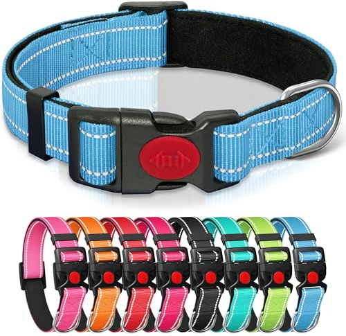 Reflective Nylon Dog Collar with Safety Buckle, Light Blue, S | Adjustable, Soft Neoprene Padding, 360° High Visibility, Quick Release, Lightweight, for Dogs Walking