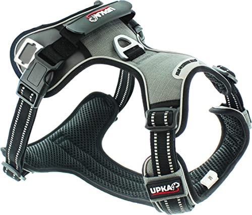 Harnais Chien Style Ultra Polyvalent idéal pour Les promenades en Campagne et Les balades citadines, avec possibilité de cani Jogging et Anneau Anti Traction Avant Couleur Gris (s)