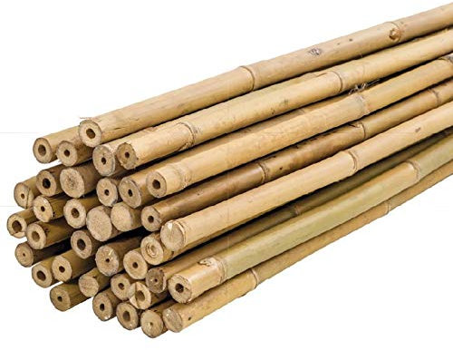 Bricomed Lot de 10 tuteurs en bambou naturel pour plantes 180 cm