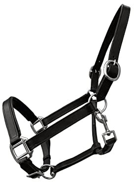 German Riding Lederhalfter Basic schwarz unterlegt verstellbar an Nase und Genick (Full/WB)