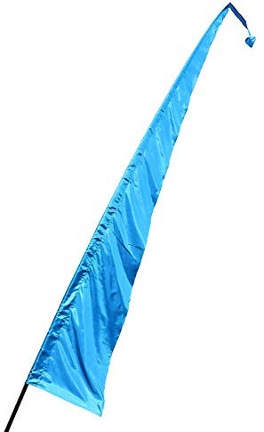 Pink Pineapple Drapeau Festival Coloré Soie de Parachute : Drapeau Fête Plage 5 Mètres de Tissu Imprimable - Aucun Mât Inclus - Nombreuses Couleurs Disponibles - Turquoise