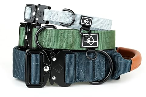 Made to ROAM Premium Dog Collar - Adjustable Heavy Duty Nylon Collar with Quick-Release Metal Buckle (Colorado Nightsky, Classic Size 4)