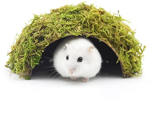 SanmooAio Hamster Hideaway/Hideout,Mossy Cave Hide,Hamster House/Hides,Hamster Cage Accessories for Gguinea Pig/Hedgehogs/Gliders/Rats/Mice and Other Small Animals (Small)