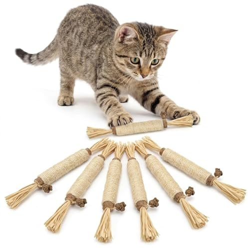 ThriveMart 6 Pack Catnip Chew Toys for Indoor Cats
