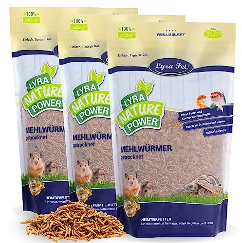 Lyra Pet® 3 x 1 kg de vers de Farine séchés | Nourriture Riche en protéines | pour Oiseaux Sauvages, rongeurs, Reptiles & Poissons | Source d'énergie pour Insectivores | Vitamines & minéraux