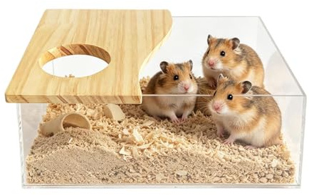 Bain de Sable pour Hamsters Salle de Bain Transparente en Bois et Acrylique