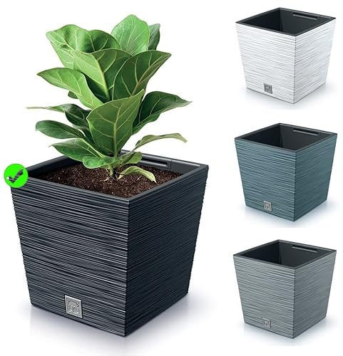 Blumenkasten Blumenkübel Blumentopf Pflanzkübel Quadrat Furu Low Tannennadeln Design mit Einsatz Struktur (300 Anthrazit)