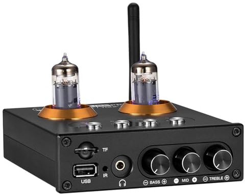 COYEUX Amplificatore valvolare, Amplificatore di Potenza Digitale Mini Hi-Fi Bluetooth 5.0 a 2 canali in Classe D, con Telecomando, per Cuffie Home Audio