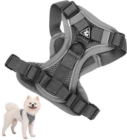 Pettorina per Cani Taglia Piccola Media Grande, Traspirante Imbracatura Cane Anti Tiro con 1,5 m Guinzaglio, Gilet Riflettente Animali Domestici, Pettorina per Gatto Cuccioli Regolabile per Corsa (M)