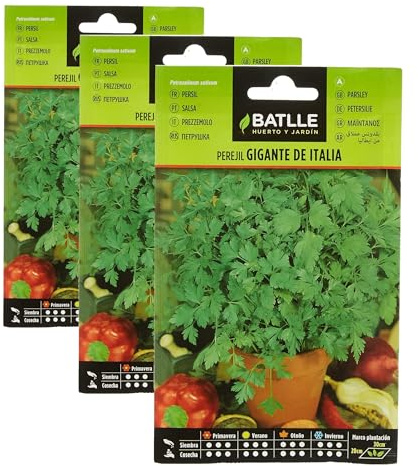 Semillas Batlle Perejil GIGANTE DE ITALIA (Paquete de 3)