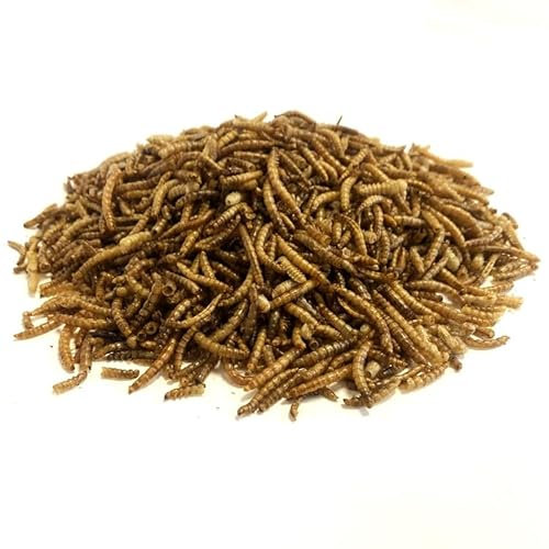 Dried Mealworms 5kg Premium Insectivorous Wild Bird Food By Maltbys' Stores 1904 Limited
