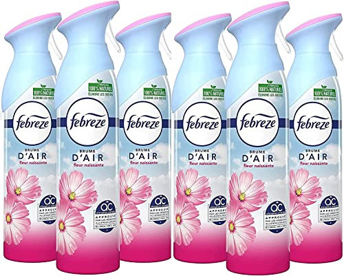 Febreze Spray Désodorisant Maison (6 Unités x 300ml), Fleur Naissante,Pour Élimination Et Prévention Des Odeurs