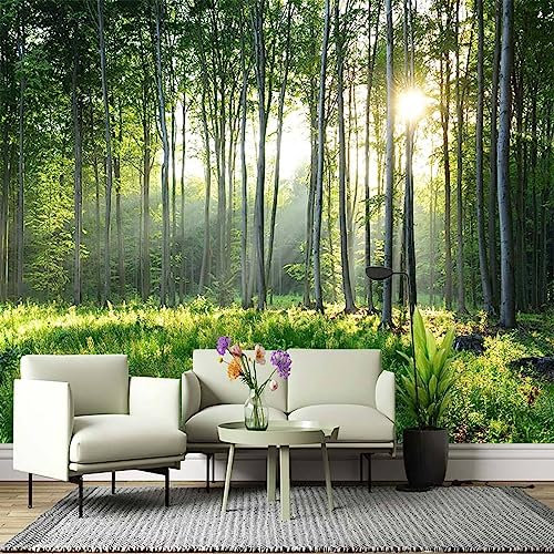 Papel Tapiz Personalizado Mural La Luz Del Sol Penetra En Los Árboles Bosque Antiguo Hermoso Paisaje De Montaña Dormitorio Sala De Estar Sofá Tv Fondo Decoración De La Pared 350Cm(W)×245Cm(H)