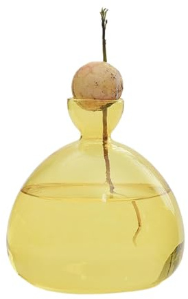 Jarrón de aguacate con bombilla, jarrón de bellota de para flores, de cría para aguacates y castañas, terrario con estante de madera, soporte para plantas de agua verde, apto para mesa