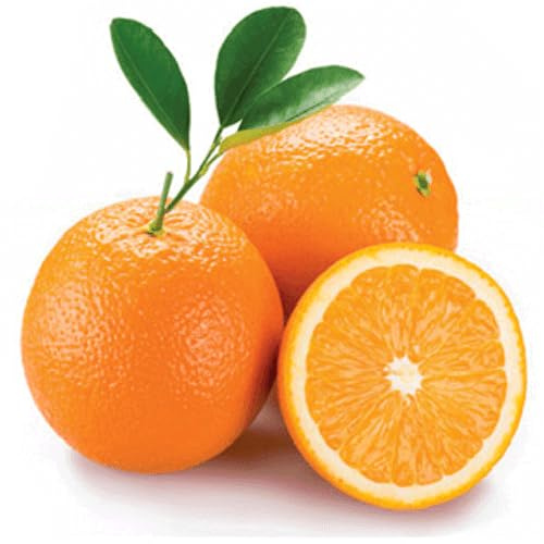 Arance Navel Salentine - Fresche e 100% Italiane - Ideali per Spremute e Consumo Fresco (10 Kg)