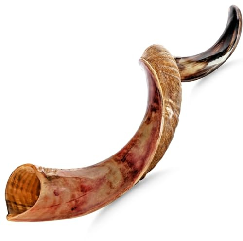 Holy Voice Kosher Kudu Shofar Horn from Israel 39β-41β β Traditional Half Polished Yemenite Shofar Easy Blowing Ancient Jewish Musical Instrument