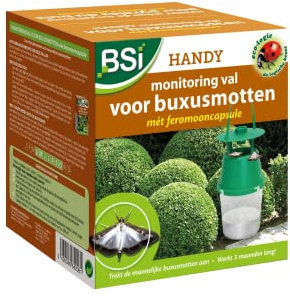 BSI 64208 Handy piège à phéromones pour pyrale du buis Buchsbaumzünslerfalle, Kunststoff, Grün und transparent